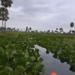 Culto en Fortín La Soledad